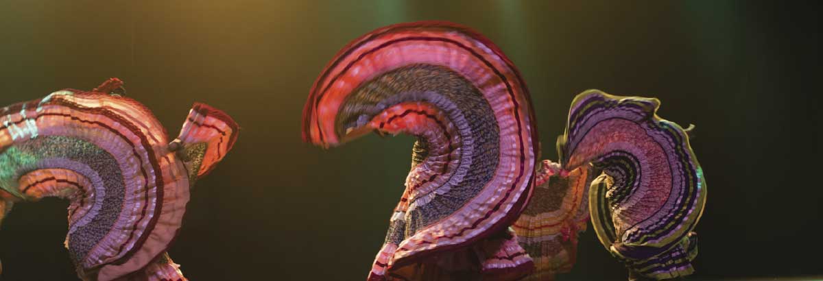 Danza Artes de México